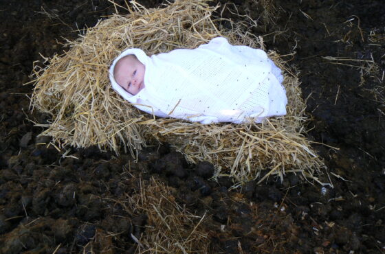 Now and Not Yet: Welcome to Planet Earth